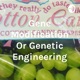 Gene Modification or genetic engineering