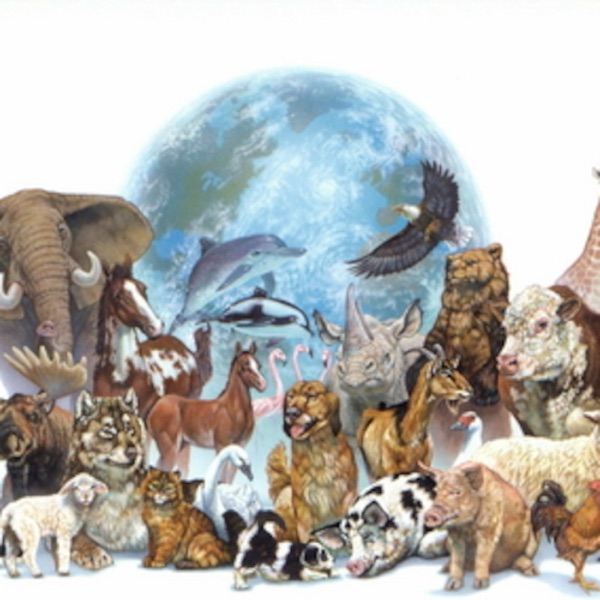 Animal Rights Artwork