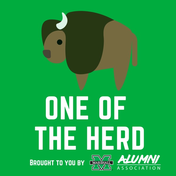 One of the Herd Artwork