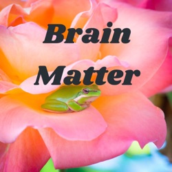 Brain Matter