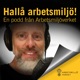 Hallå arbetsmiljö! #15 - Unga i arbetslivet