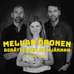 Mellan öronen