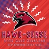Hawk-Sense artwork
