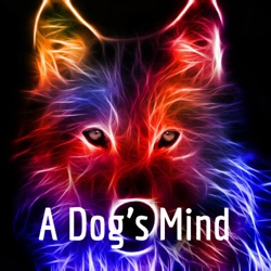 A Dog's Mind