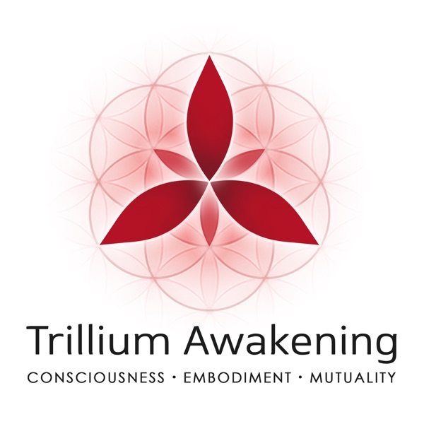 Artwork for Trillium Awakening Podcasts