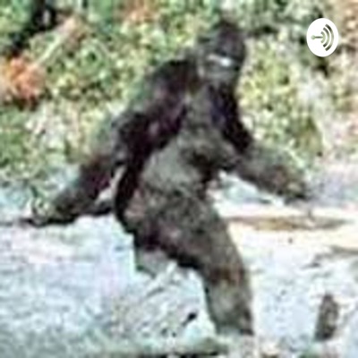 Bigfoot: Real or Imagined?