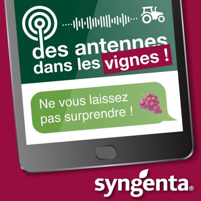 Des antennes dans les vignes