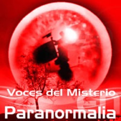 Voces del Misterio Nº 942 - Investigaciones en Castillo de Santiago y Palacio de Monsalves / Incidente en cementerio.