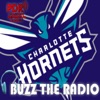 Programa Buzz The Radio