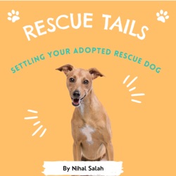 You're expecting too much from your rescue dog!