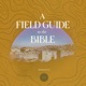 A Field Guide to the Bible