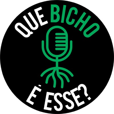 Que bicho é esse? Que bicho é esse?