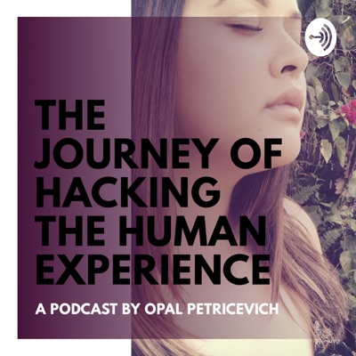 The Journey Of Hacking The Human Experience