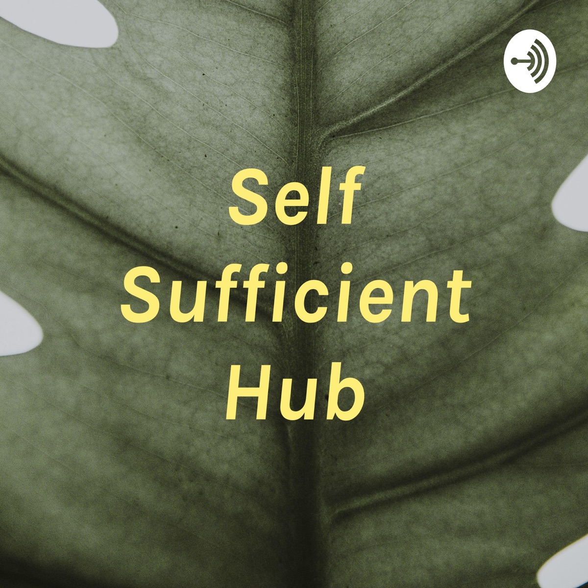 Self Sufficient Hub