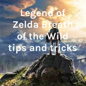 Legend of Zelda Breath of the Wild tips and tricks