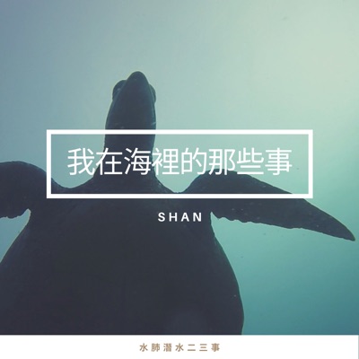 我在海裡的那些事 我在海裡的那些事