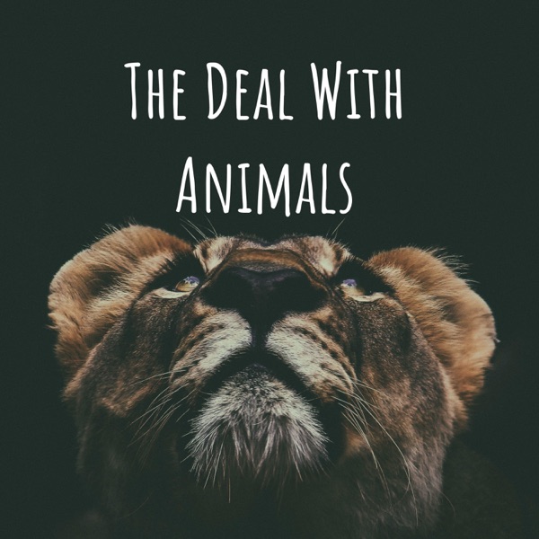 The Deal With Animals Artwork