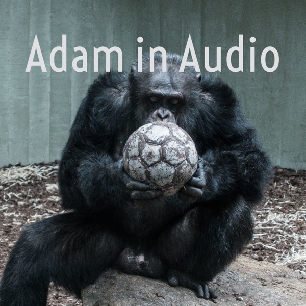 Adam in Audio