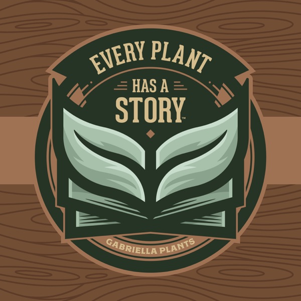Every Plant Story | Gabriella Plants