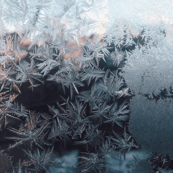 Frozen