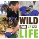 The Black-Footed Ferret conservation program at the Toronto Zoo