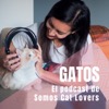 Gatos. El Podcast de Somos Cat Lovers