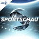 Sportschau in 100 Sekunden