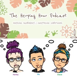 The Herping Hour Podcast - EP11 Informative Inverts Ft Sussex Mantis & Phasmids