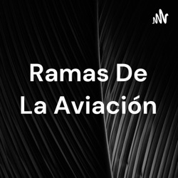 Ramas De La Aviación