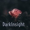 DarkInsight artwork