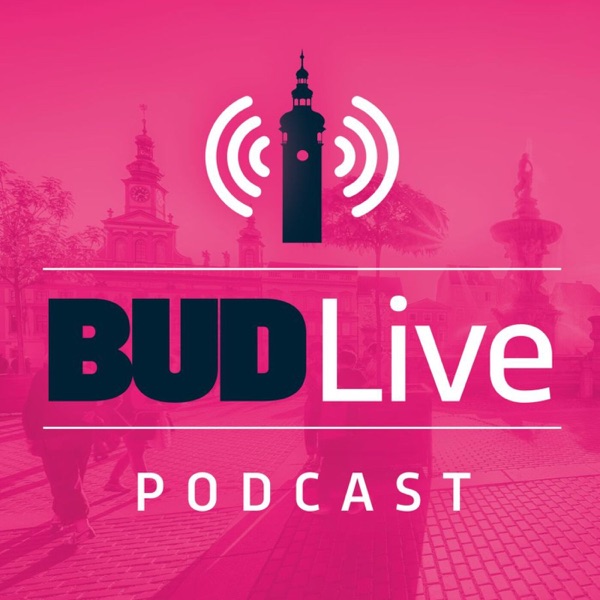 Artwork for BUDLive 1.budějovický podcast