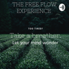 The Free Flow Experience - Kevin Peters
