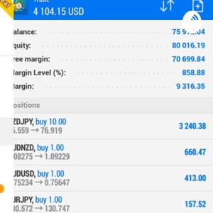 Possibilities available In FOREX