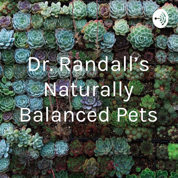 Dr. Randall's Naturally Balanced Pets Artwork