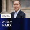 Littératures comparées - William Marx - Collège de France