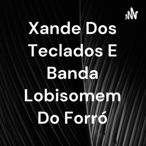 Xande Dos Teclados E Banda Lobisomem Do Forró