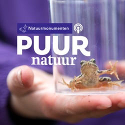 Puur Natuur: Harald van den Akker en Franz Ziegler over het gebruik van hout uit eigen bos in de nederzetting op Marker Wadden