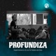 Profundiza