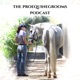 The Proequinegrooms Podcast