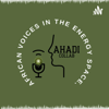 Ahadi Collab (African Voices in the Energy Space) - Ahadi.Collab_Podcast