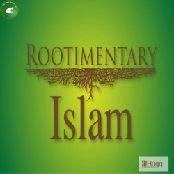 Rootimentry Islam