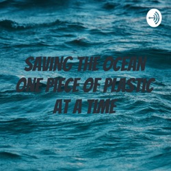 Saving the Ocean One Piece of Plastic at a Time