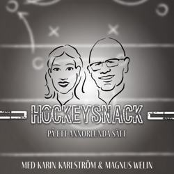 #37 Hockeyallsvenskan med Erik Ryman