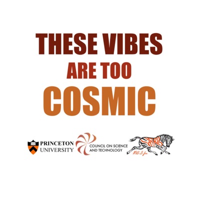 These Vibes Are Too Cosmic: The Podcast