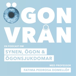 Ögonvrån