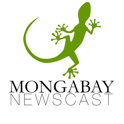 Mongabay Newscast:Mongabay