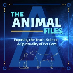 The Mirror Effect: Pets as Reflections of Our Energy & Behaviors