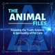 The Animal Files Podcast