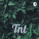 Tnt