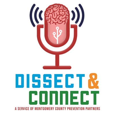 Dissect & Connect